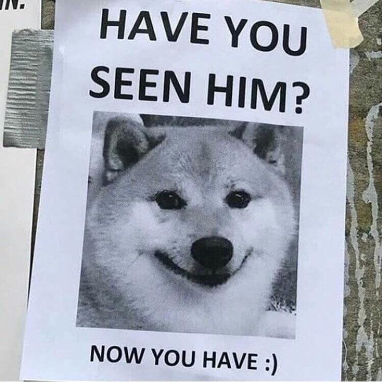 Error Image